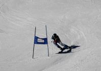 Landes-Ski-2015 16 Romana Windhofer Landes-Ski-2015 16 Romana Windhofer